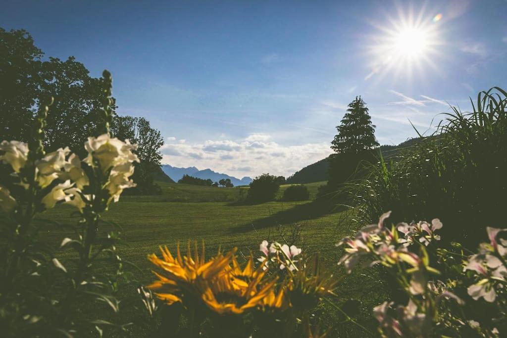 Fritzis Alpenidyll „Sommertraum & Winterromantik” سامربيرغ المظهر الخارجي الصورة