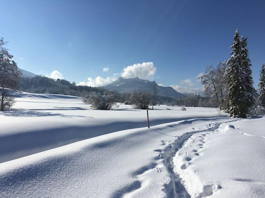 Fritzis Alpenidyll „Sommertraum & Winterromantik” سامربيرغ المظهر الخارجي الصورة